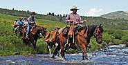 Top 5 Reasons Why You Must Try Horseback Riding – Colorado Wilderness Corporate and Teams