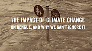 The impact of climate change on dengue fever. Read why we can't ignore it · Break Dengue