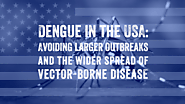 Dengue in the USA: Avoiding the wider spread of vector-borne disease · Break Dengue