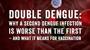 Second dengue infection is worse than first, and what that means for vaccination · Break Dengue