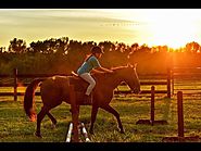 Charlottesville Horse Farms | Market Report for September 2018
