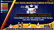 Expert Digital Marketing Company in Punjab | No Advance | EasyWebPlans