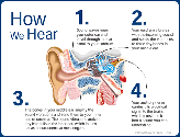 How We Hear Infographic