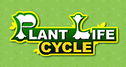 Life Cycle of Plants Game | Plant Game | Turtle Diary