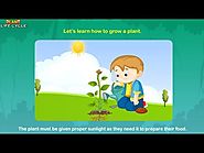 Learning Videos For Kids : Kids Learn About Stages of Plant Life Cycle