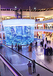 ICM - AquaDream Aquarium | Largest Snail Aquarium by ICM
