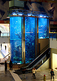 AB Baltic Mega Mall Aquarium | ICM - International Concept Managment
