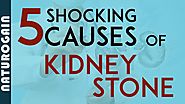 5 Shocking Causes of Kidney Stone with ONE Best Solution