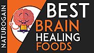 20 Best Brain Foods for Studying, Increase Concentration Power FAST