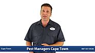 Leading pest control experts in Cape Town