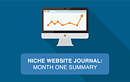 Niche Website Journal: Month One Summary | One Percent Intent