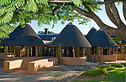 Kruger Park Trips