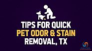 Tips for Quick Pet Odor & Stain Removal, TX