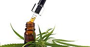 CBD Oil and CBD Products