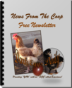 Owl Decoys French Marans Chickens...Breeding For The Darkest Chocolate Brown Eggs | French Marans Chickens...Breeding...