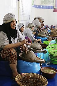 Argan Oil cooperative women