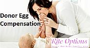 Donor Egg Compensation