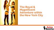 The Royal & Magnificent Adventure within the New York City