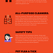 Household chemical products and their Health Risk