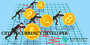 Cryptocurrency Developer