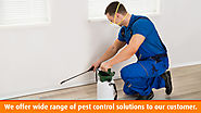 ICS Pest Control Services in Chandigarh|Mohali