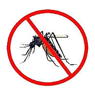 Mosquitoes Control Services in Chandigarh|Panchkula|Mohali