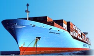 International automotive shipping: Logistics Services