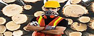 Tips For Choosing The Best Safety Vest For The Job