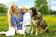 Rеѕроnѕibilitiеѕ As A Dog Parent | Adopt, Buy, Sell Pets Online at Only4Pets