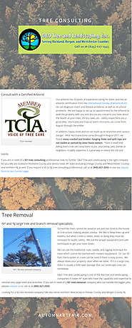 Tree Consulting Services
