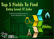 Top 5 Fields Entry Level IT Jobs