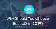 Why Should You Choose ReactJS in 2019?