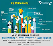 The some tips of Digital Marketing Company/Agency for Your Business