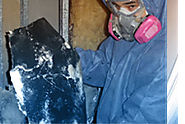 Honolulu Mold Removal and Remediation Company