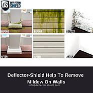 Scrub the surface mold stains from walls and wood trim with a mixture of 1 qt. water and 1/2 cup bleach mold cleaner ...