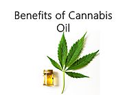 Benefits of Cannabis Oil