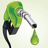 Promoting Biofuels - Renewable Watch