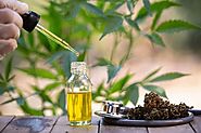 8 Common Myths About The Usage of CBD Oil