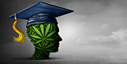 The Dynamics of Cannabis Industry & Its Education