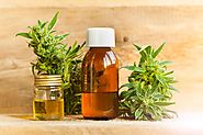 CBD Oil: How to know is It Legal or Not?