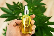 Best Guidance to Identify High-grade CBD Oil