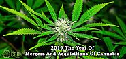 2019 The Year Of Mergers And Acquisitions Of Cannabis - Pure CBD Essence