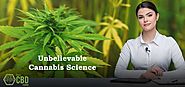 Unbelievable Cannabis Science