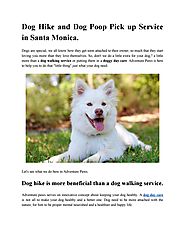 Dog Hike and Dog Poop Pick up Service in Santa Monica. by adventurepawsla - Issuu