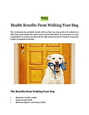 Health Benefits From Walking Your Dog - Adventure Paws