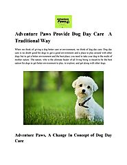 Adventure Paws Provide Dog Day Care A Traditional Way