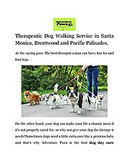 Therapeutic Dog Walking Service in Santa Monica, Brentwood and Pacific Palisades