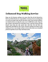 Enhanced Dog Walking Service