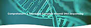 Complete Plasmid DNA Sequencing – CD Genomics