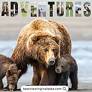 What are a few good places to watch bears in Alaska?